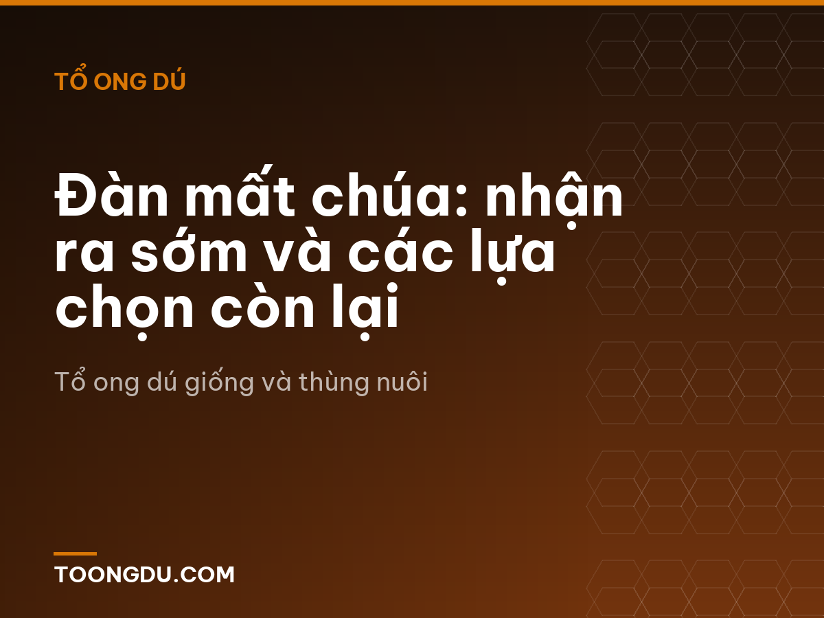 Đàn mất chúa: nhận ra sớm và các lựa chọn còn lại