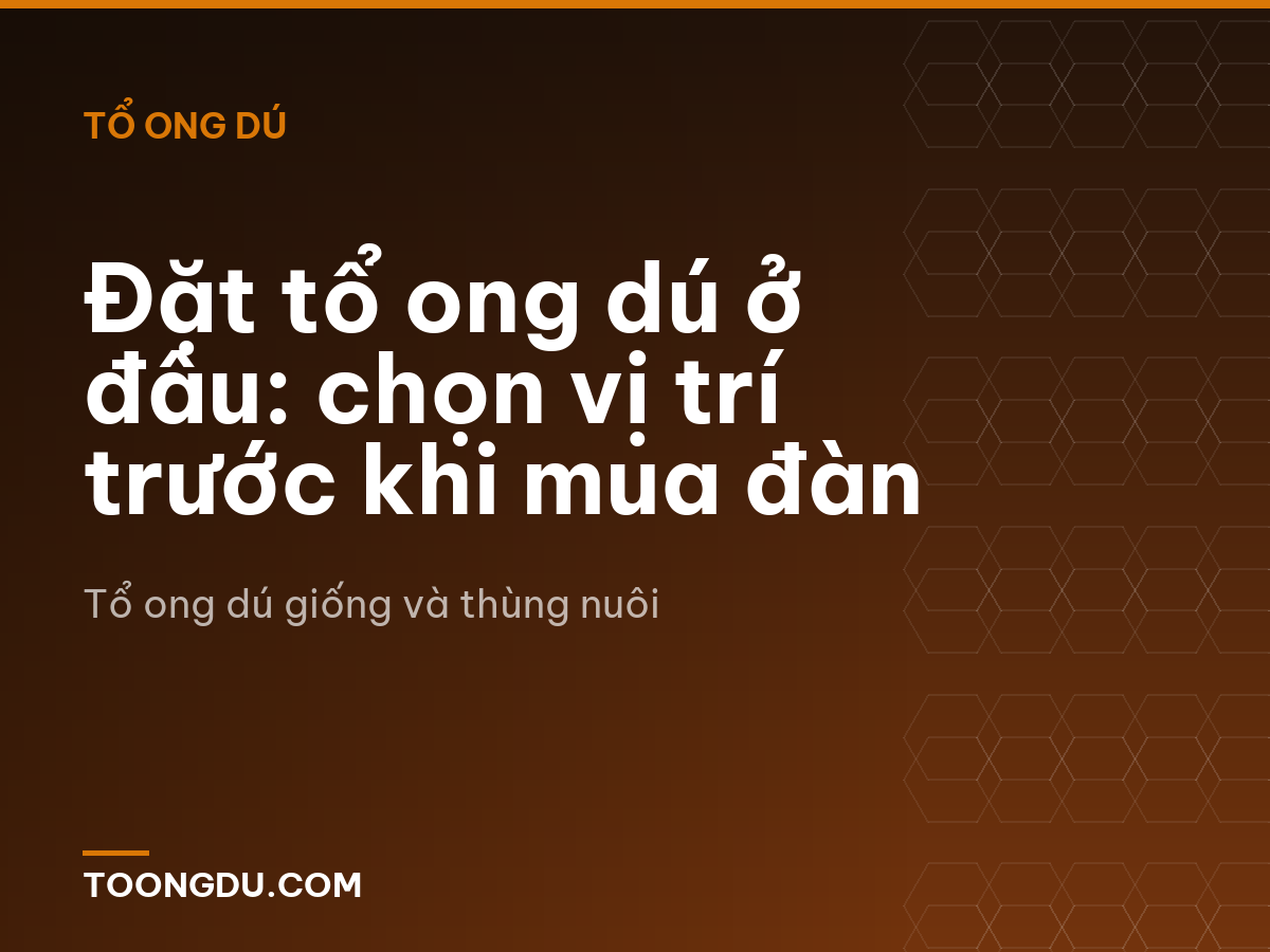 Đặt tổ ong dú ở đâu: chọn vị trí trước khi mua đàn