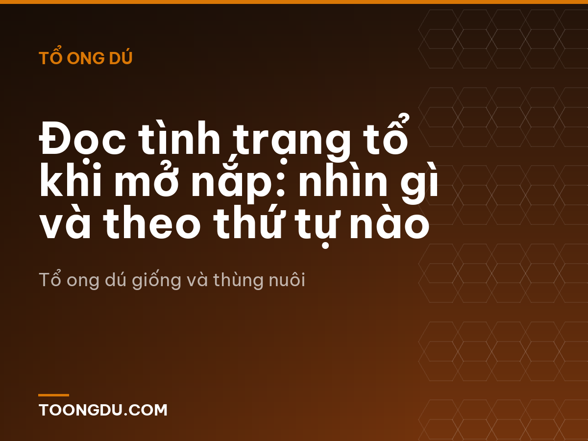 Đọc tình trạng tổ khi mở nắp: nhìn gì và theo thứ tự nào