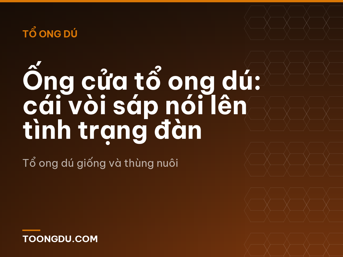 Ống cửa tổ ong dú: cái vòi sáp nói lên tình trạng đàn