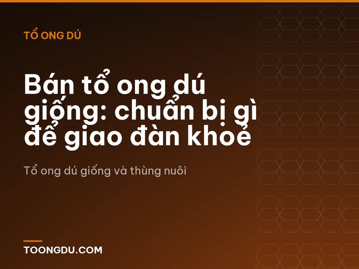 Bán tổ ong dú giống: chuẩn bị gì để giao đàn khoẻ