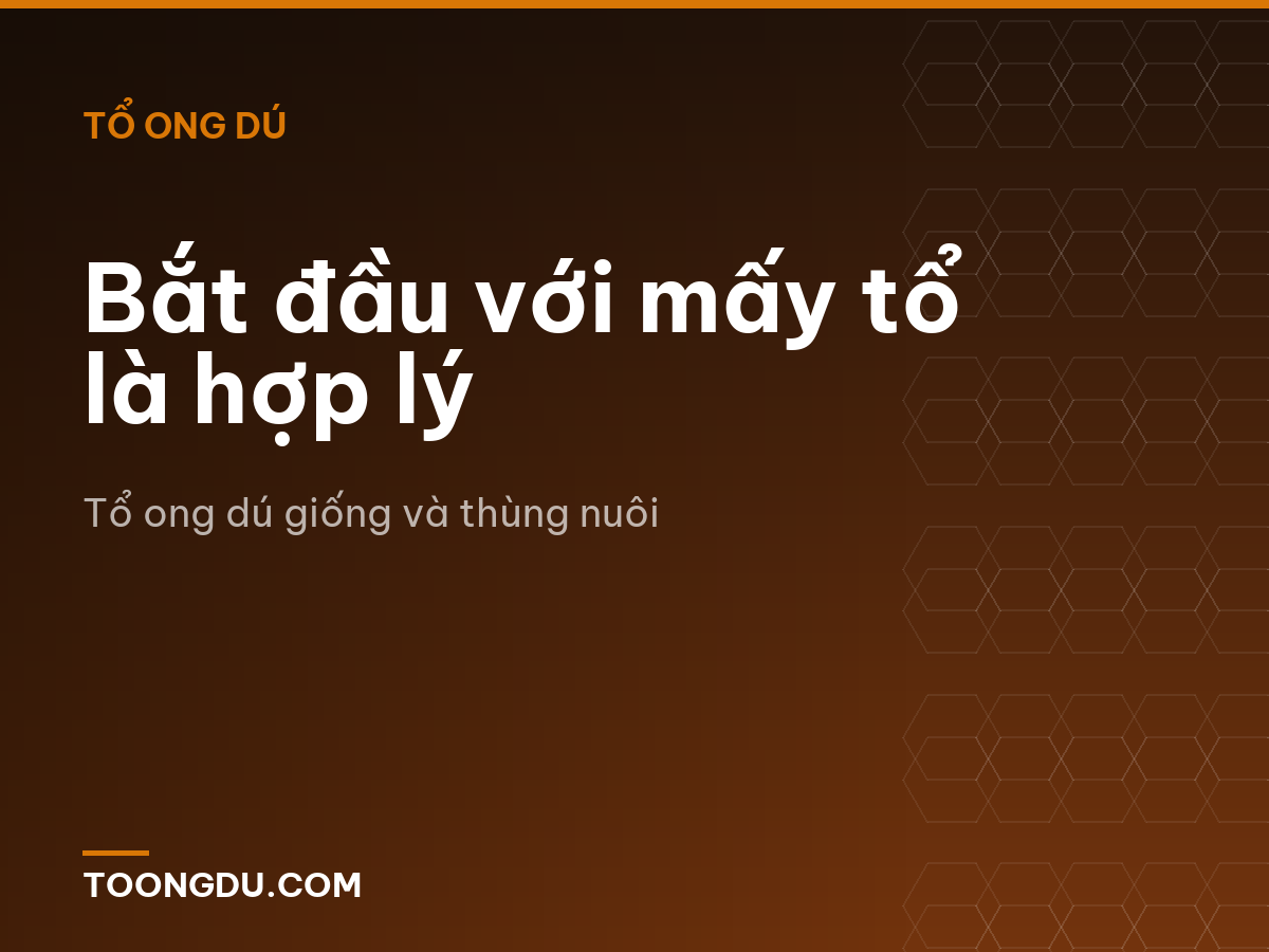 Bắt đầu với mấy tổ là hợp lý