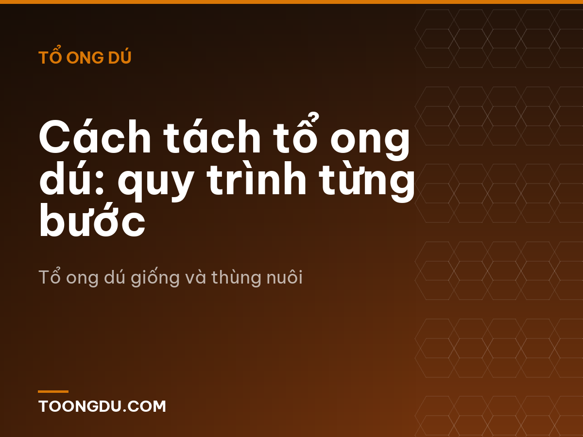 Cách tách tổ ong dú: quy trình từng bước