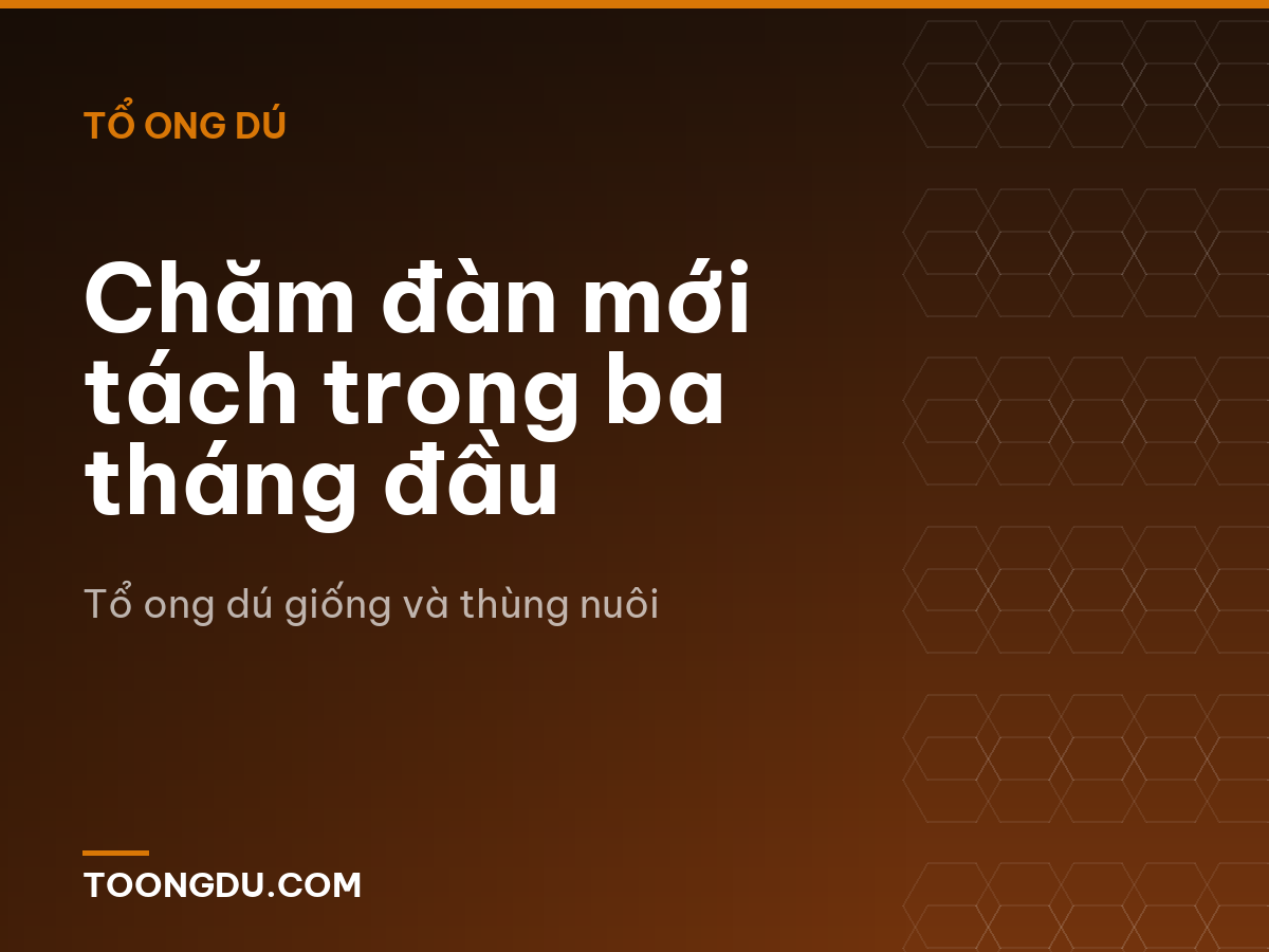 Chăm đàn mới tách trong ba tháng đầu