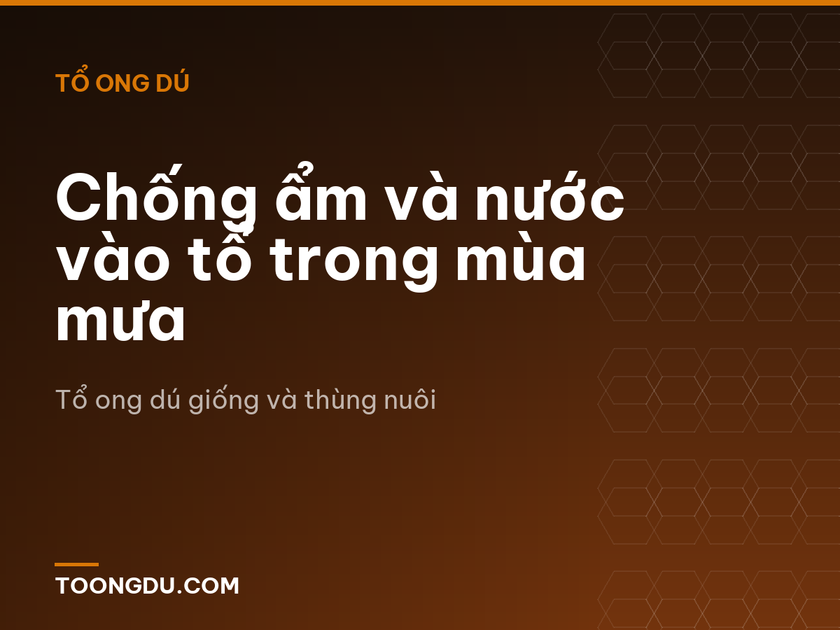 Chống ẩm và nước vào tổ trong mùa mưa