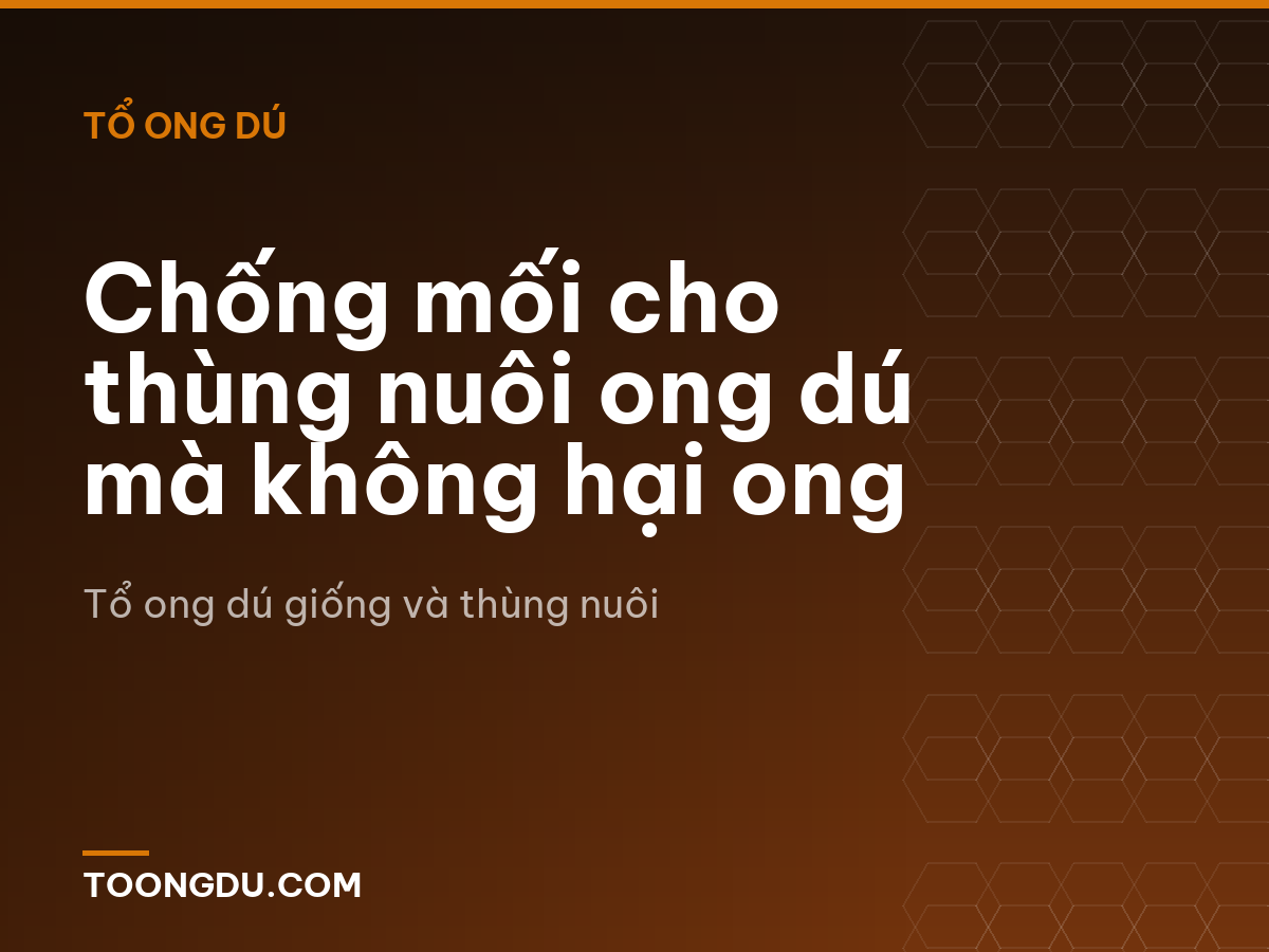 Chống mối cho thùng nuôi ong dú mà không hại ong