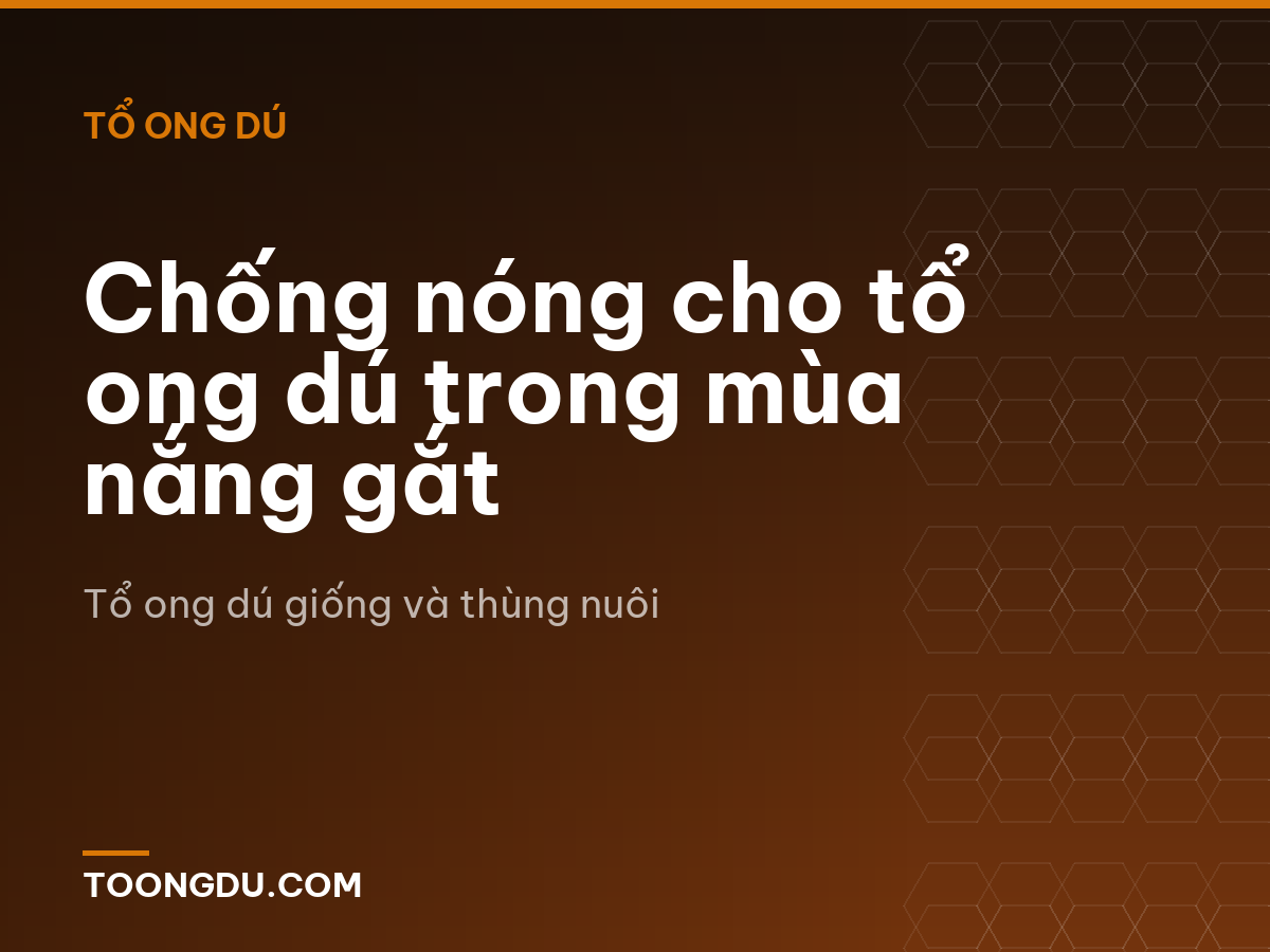 Chống nóng cho tổ ong dú trong mùa nắng gắt
