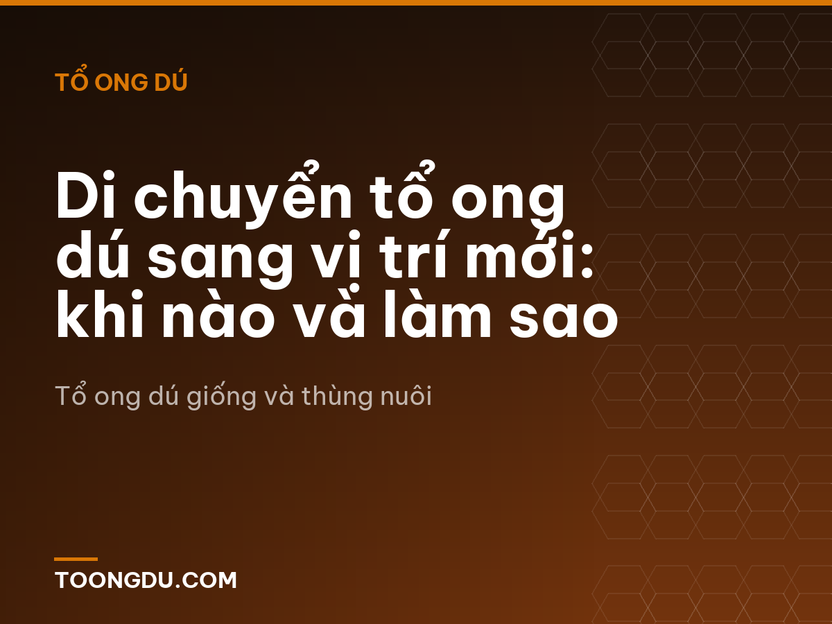Di chuyển tổ ong dú sang vị trí mới: khi nào và làm sao