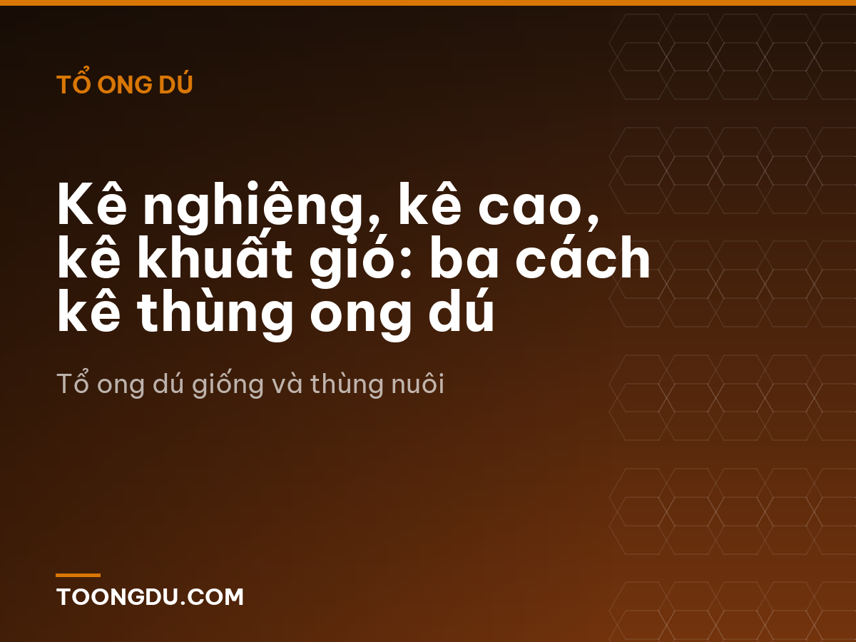 Kê nghiêng, kê cao, kê khuất gió: ba cách kê thùng ong dú
