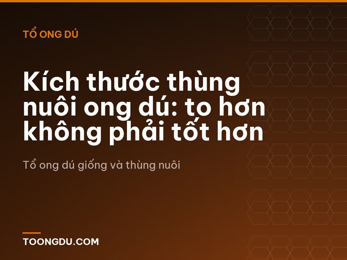 Kích thước thùng nuôi ong dú: to hơn không phải tốt hơn
