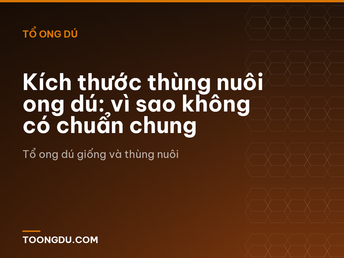 Kích thước thùng nuôi ong dú: vì sao không có chuẩn chung