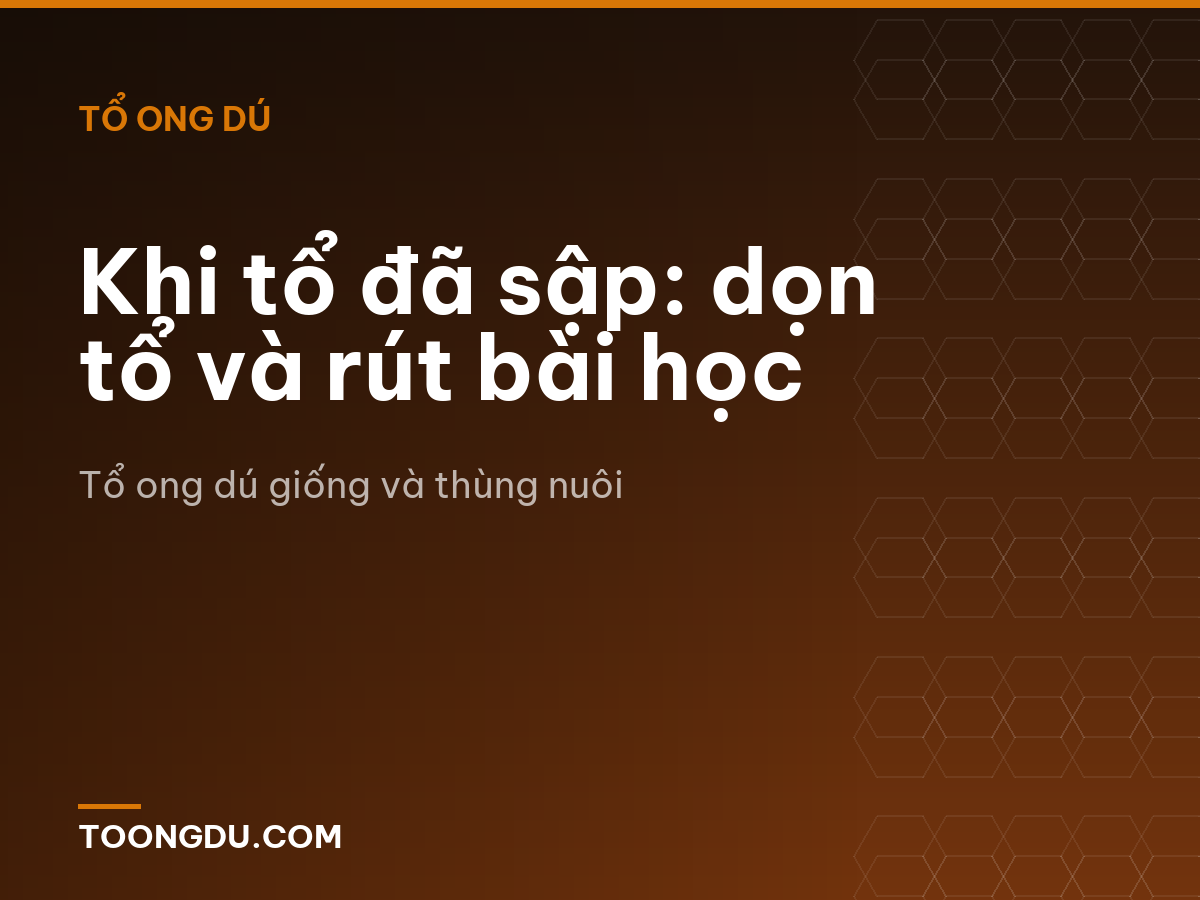 Khi tổ đã sập: dọn tổ và rút bài học
