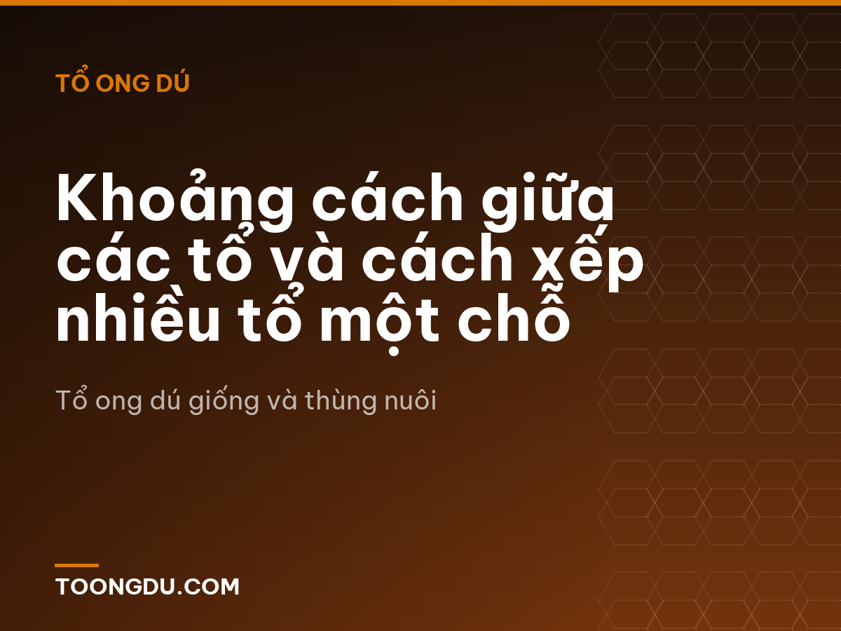 Khoảng cách giữa các tổ và cách xếp nhiều tổ một chỗ