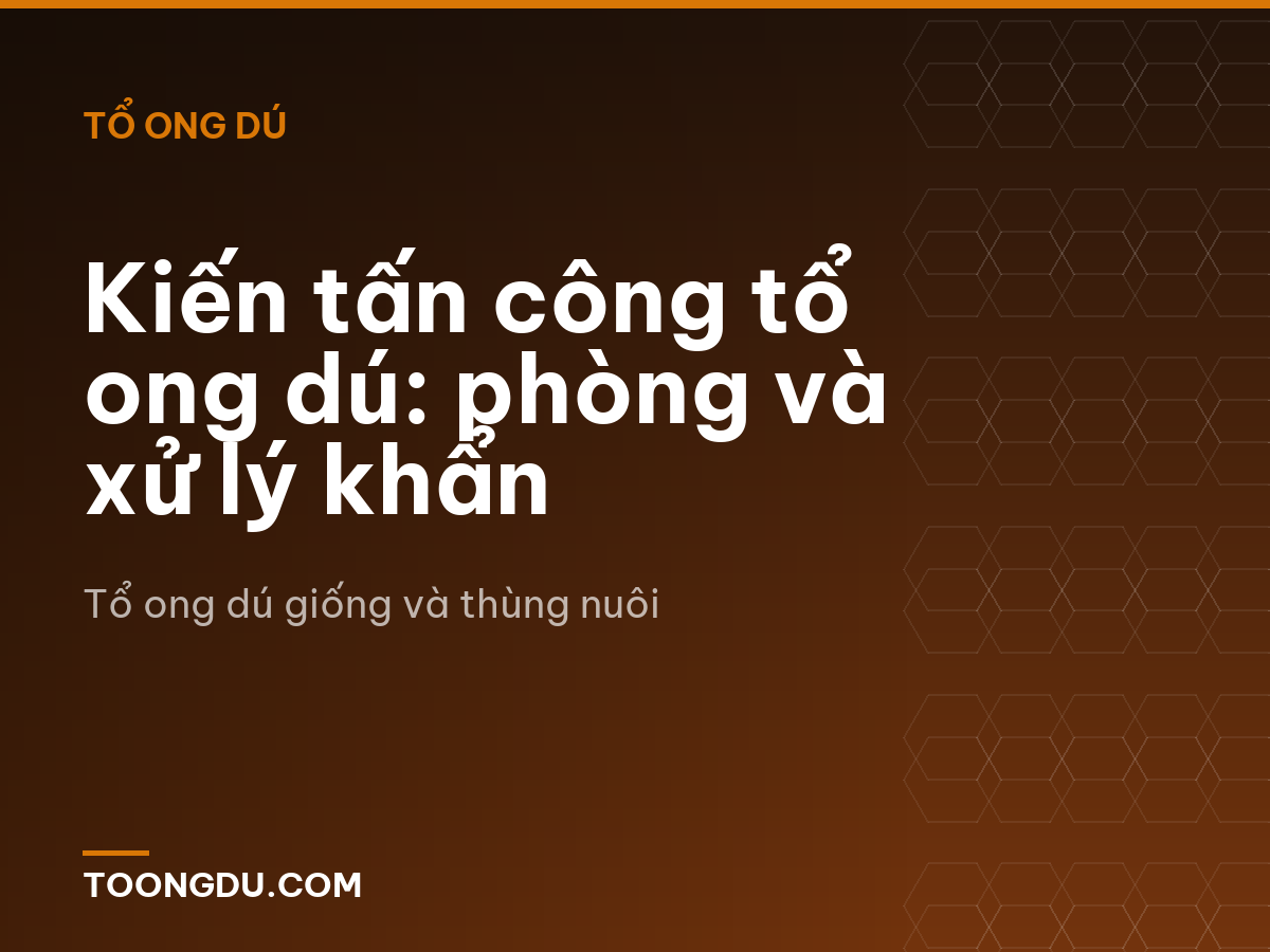 Kiến tấn công tổ ong dú: phòng và xử lý khẩn