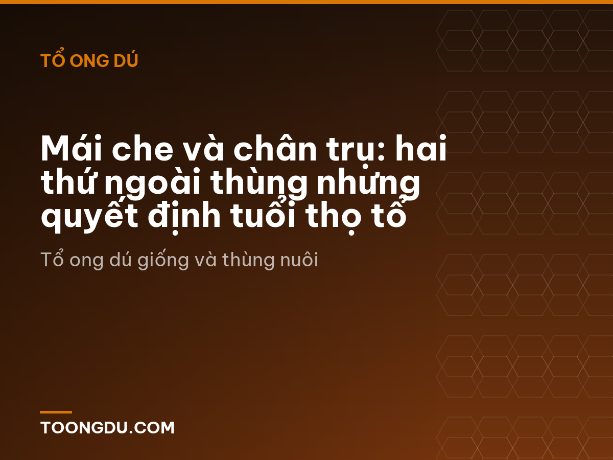 Mái che và chân trụ: hai thứ ngoài thùng nhưng quyết định tuổi thọ tổ