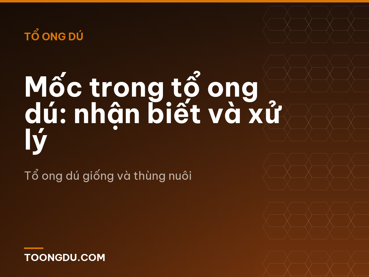 Mốc trong tổ ong dú: nhận biết và xử lý