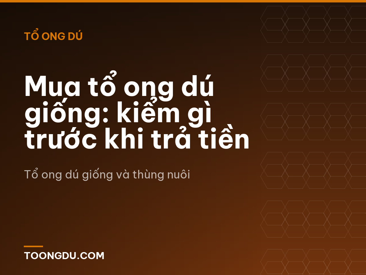 Mua tổ ong dú giống: kiểm gì trước khi trả tiền