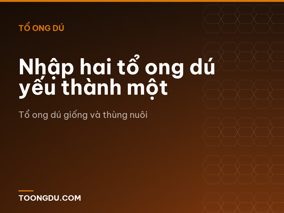 Nhập hai tổ ong dú yếu thành một