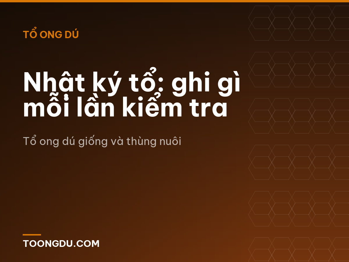 Nhật ký tổ: ghi gì mỗi lần kiểm tra