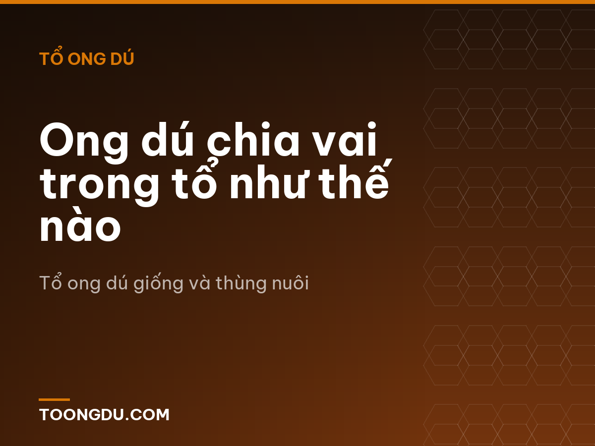 Ong dú chia vai trong tổ như thế nào