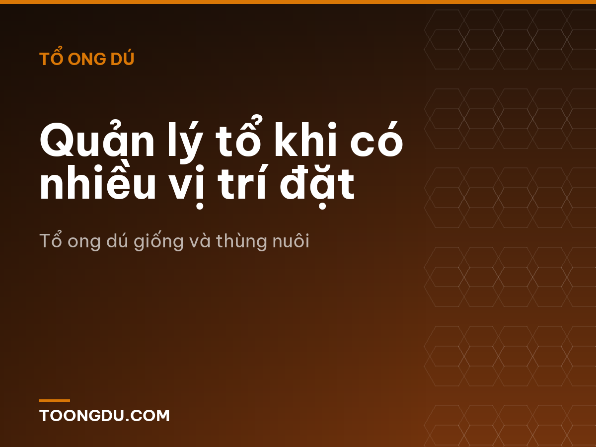 Quản lý tổ khi có nhiều vị trí đặt
