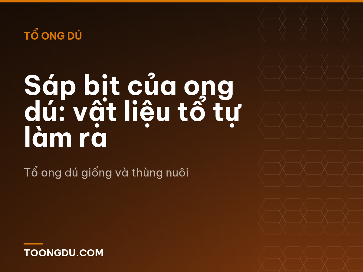 Sáp bịt của ong dú: vật liệu tổ tự làm ra