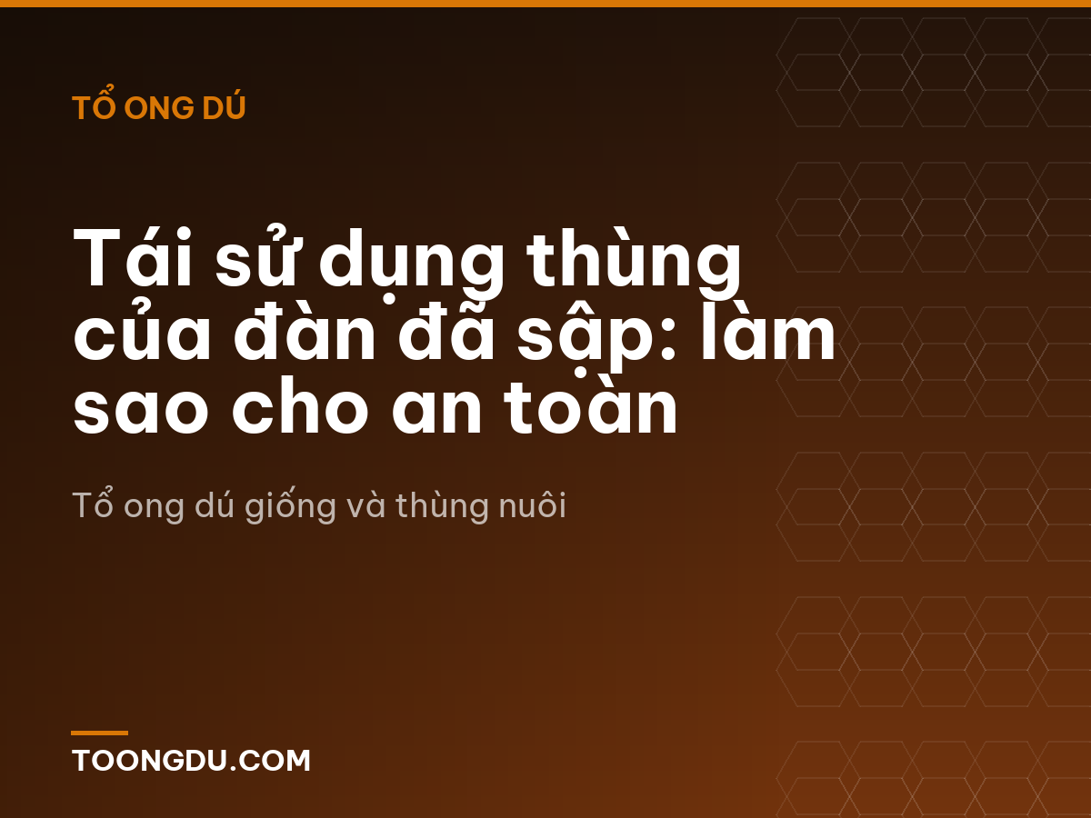 Tái sử dụng thùng của đàn đã sập: làm sao cho an toàn