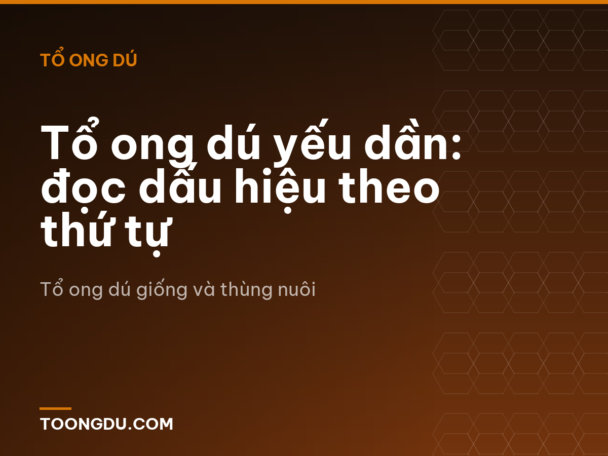 Tổ ong dú yếu dần: đọc dấu hiệu theo thứ tự