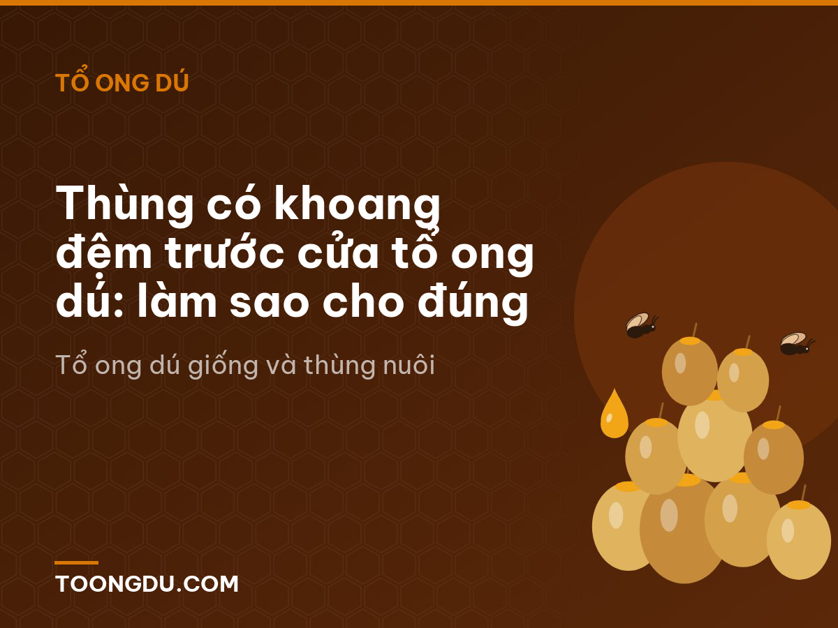Thùng có khoang đệm trước cửa tổ ong dú: làm sao cho đúng