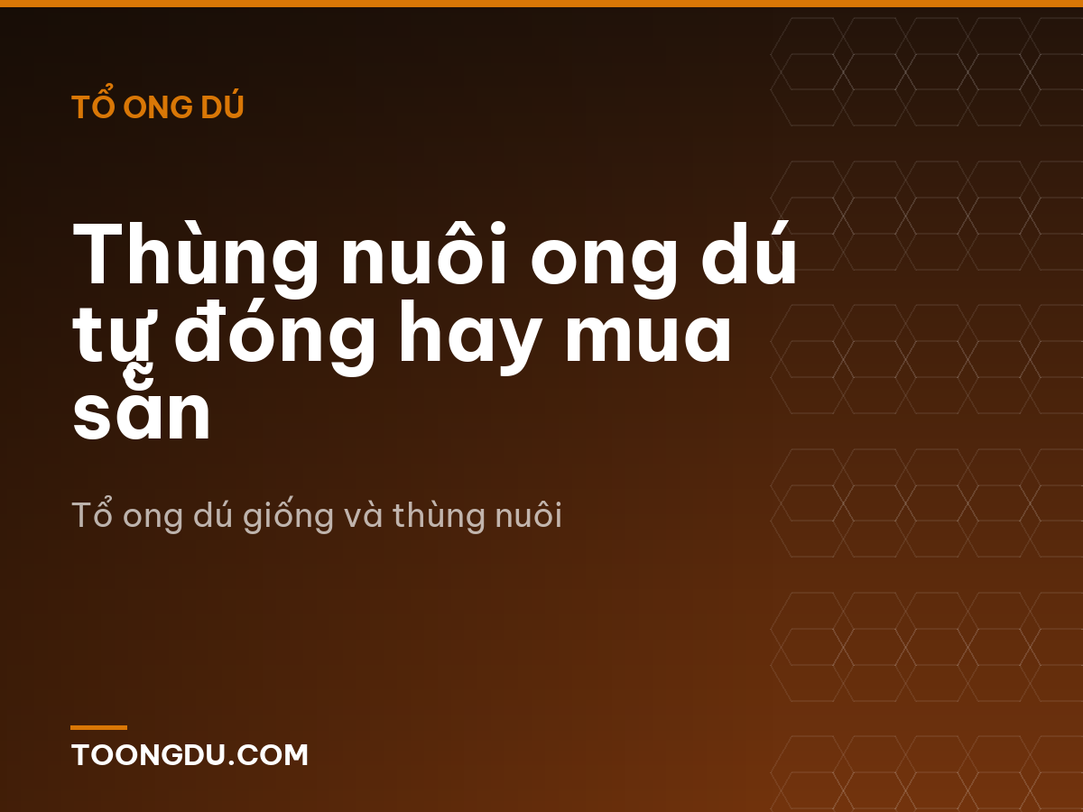 Thùng nuôi ong dú tự đóng hay mua sẵn