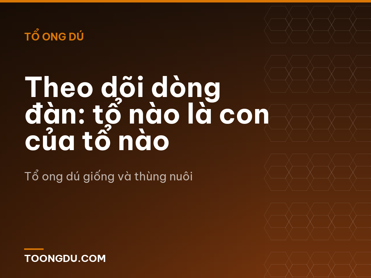 Theo dõi dòng đàn: tổ nào là con của tổ nào