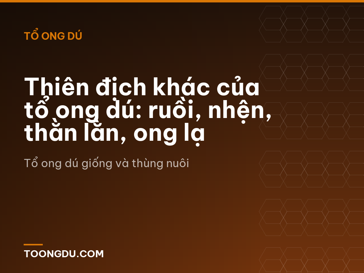 Thiên địch khác của tổ ong dú: ruồi, nhện, thằn lằn, ong lạ