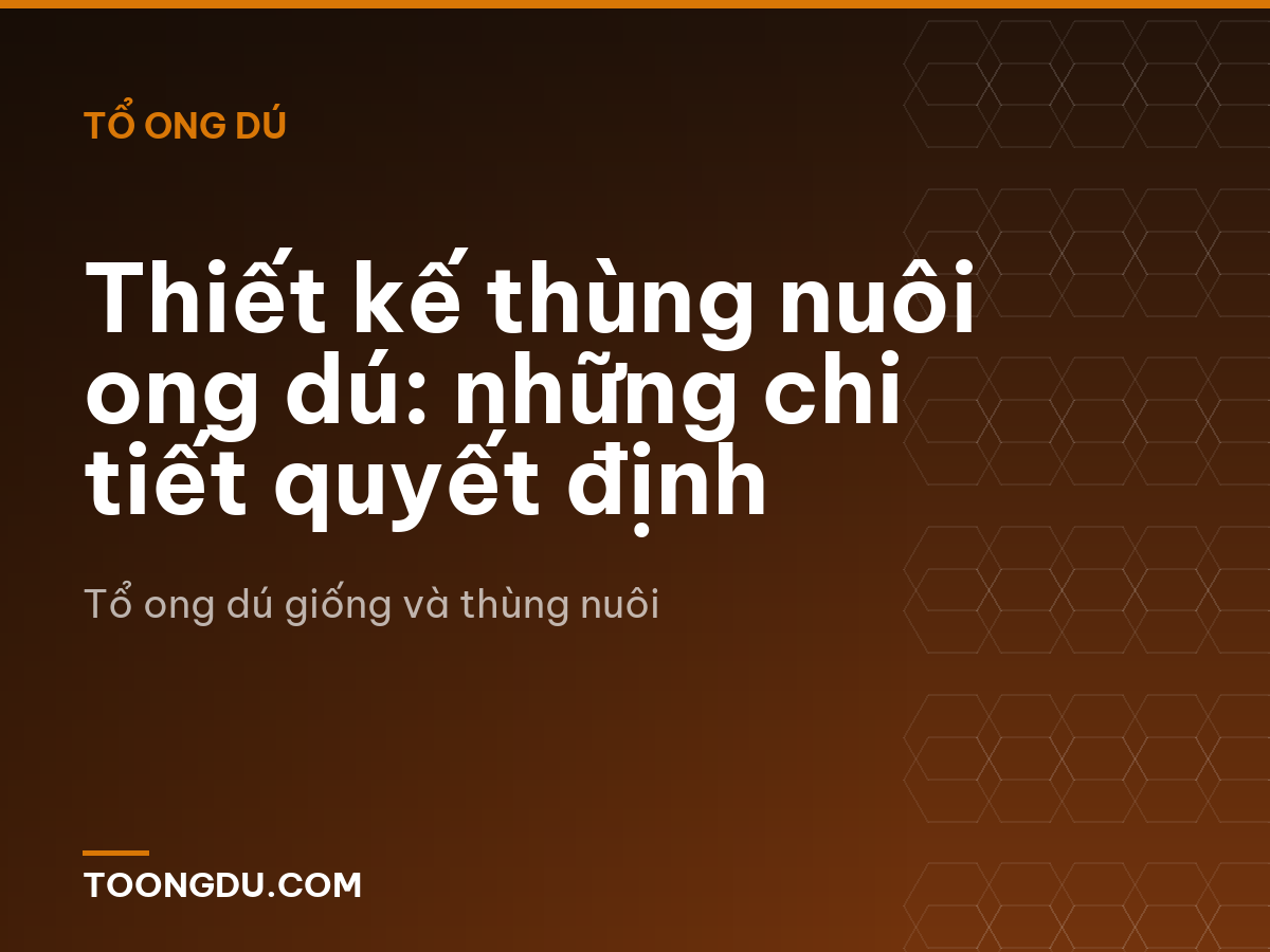 Thiết kế thùng nuôi ong dú: những chi tiết quyết định