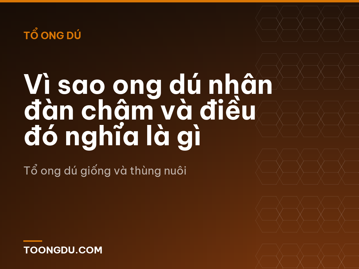 Vì sao ong dú nhân đàn chậm và điều đó nghĩa là gì
