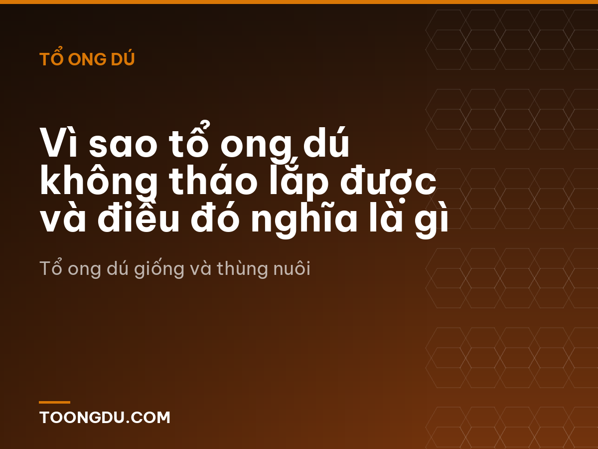 Vì sao tổ ong dú không tháo lắp được và điều đó nghĩa là gì