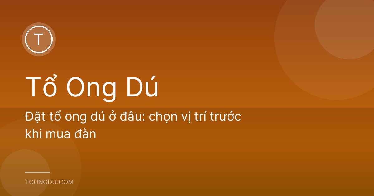 Đặt tổ ong dú ở đâu: chọn vị trí trước khi mua đàn