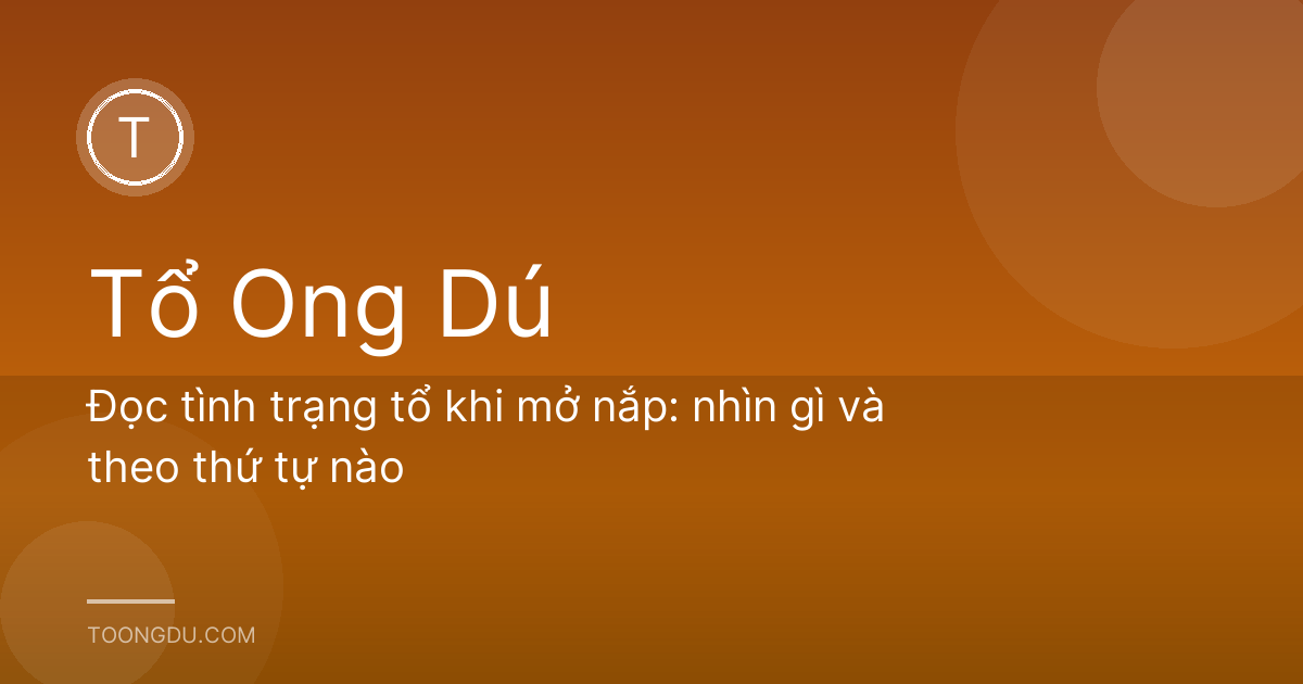 Đọc tình trạng tổ khi mở nắp: nhìn gì và theo thứ tự nào