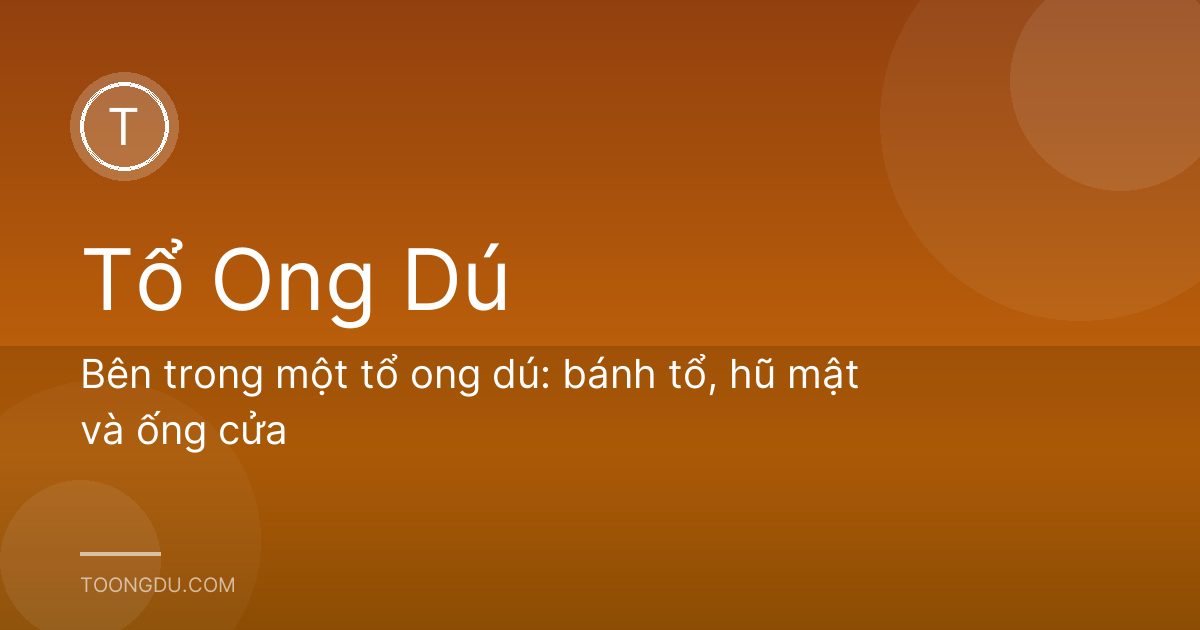 Bên trong một tổ ong dú: bánh tổ, hũ mật và ống cửa