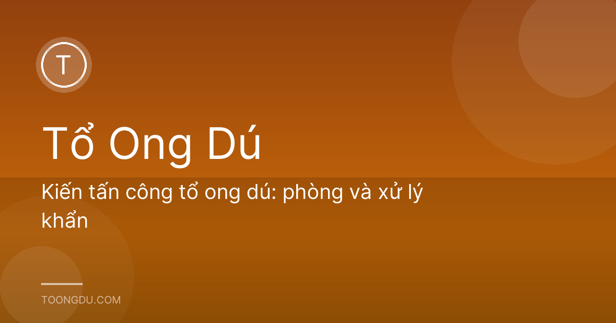 Kiến tấn công tổ ong dú: phòng và xử lý khẩn