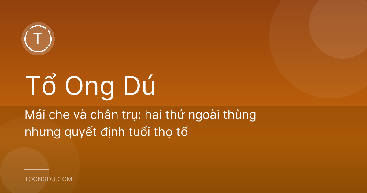 Mái che và chân trụ: hai thứ ngoài thùng nhưng quyết định tuổi thọ tổ