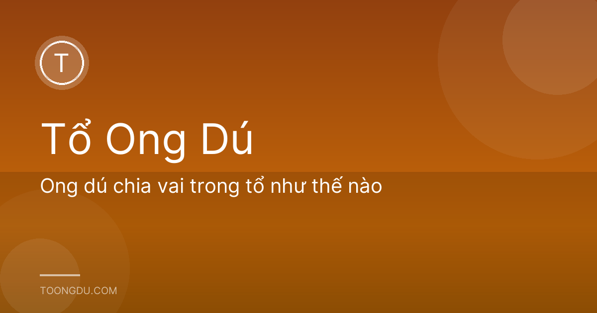 Ong dú chia vai trong tổ như thế nào