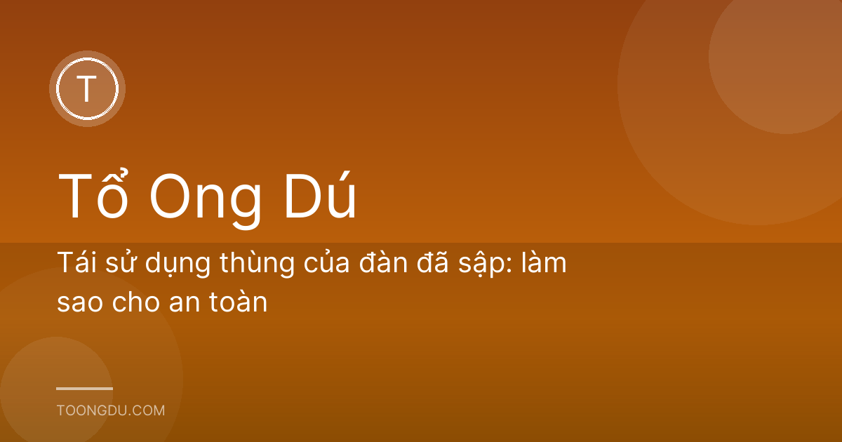 Tái sử dụng thùng của đàn đã sập: làm sao cho an toàn