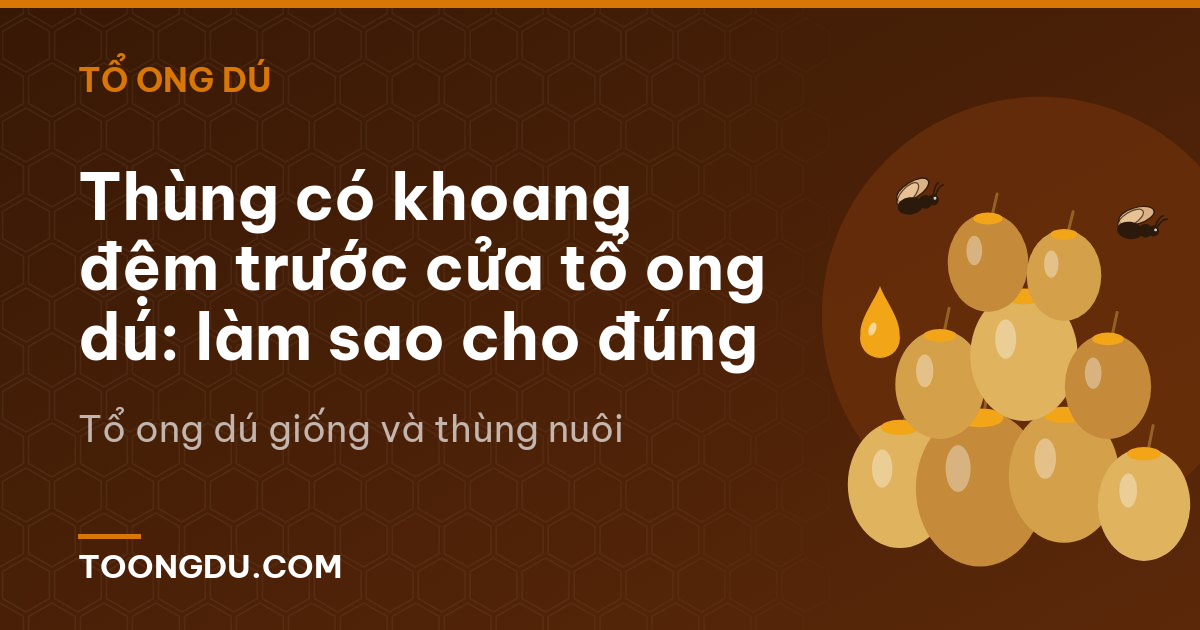 Thùng có khoang đệm trước cửa tổ ong dú: làm sao cho đúng